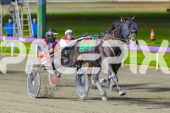 2026_PACEPIX_GP21042026_RACE8_MysteryFred_WIN_WEB-4