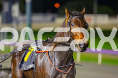 2025_PACEPIX_GP06062025_RACE8_NoNoney_WIN_WEB-11