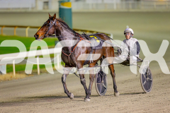 2025_PACEPIX_GP06062025_RACE8_NoNoney_WIN_WEB-8