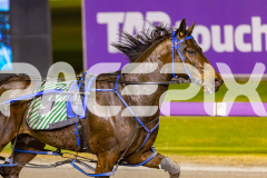 2025_Pacepix_GP30092025_RACE8_OpalHunter_WIN_WEB-17