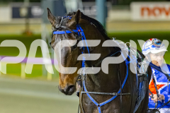 2025_Pacepix_GP30092025_RACE8_OpalHunter_WIN_WEB-23