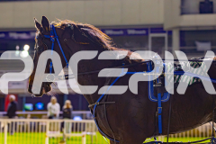 2025_Pacepix_GP30092025_RACE8_OpalHunter_WIN_WEB-28