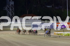 2025_Pacepix_GP30092025_RACE8_OpalHunter_WIN_WEB-4