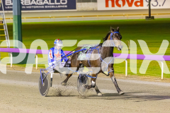 2025_Pacepix_GP30092025_RACE8_OpalHunter_WIN_WEB-8