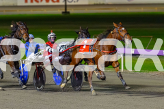 2026_PACEPIX_GP02062026_RACE8_OurRobynHood_WIN_WEB-11
