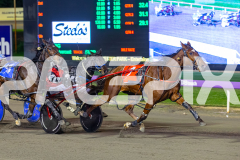 2026_PACEPIX_GP02062026_RACE8_OurRobynHood_WIN_WEB-13