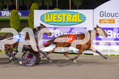 2026_PACEPIX_GP02062026_RACE8_OurRobynHood_WIN_WEB-15