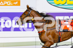 2026_PACEPIX_GP02062026_RACE8_OurRobynHood_WIN_WEB-18