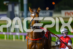 2026_PACEPIX_GP02062026_RACE8_OurRobynHood_WIN_WEB-19