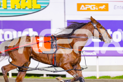 2026_PACEPIX_GP02062026_RACE8_OurRobynHood_WIN_WEB-3