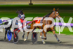 2026_PACEPIX_GP02062026_RACE8_OurRobynHood_WIN_WEB-5