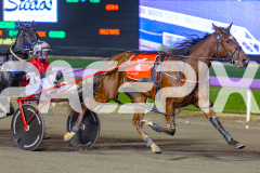 2026_PACEPIX_GP02062026_RACE8_OurRobynHood_WIN_WEB-6