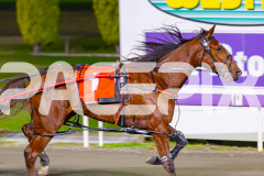 2026_PACEPIX_GP02062026_RACE8_OurRobynHood_WIN_WEB-7