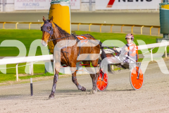 2025_PACEPIX_GP26082025_Race8_OurThunder_WIN_WEB-10