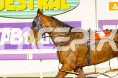 2025_PACEPIX_GP26082025_Race8_OurThunder_WIN_WEB-12