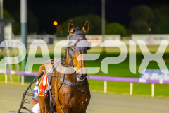 2025_PACEPIX_GP26082025_Race8_OurThunder_WIN_WEB-14