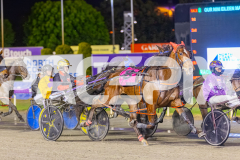 2025_PACEPIX_GP24102025_Race8_OverlyExcited_WIN_WEB-1