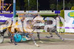 2025_PACEPIX_GP24102025_Race8_OverlyExcited_WIN_WEB-10
