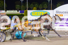 2025_PACEPIX_GP24102025_Race8_OverlyExcited_WIN_WEB-11