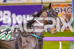 2025_PACEPIX_GP24102025_Race8_OverlyExcited_WIN_WEB-13