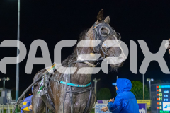 2025_PACEPIX_GP24102025_Race8_OverlyExcited_WIN_WEB-21