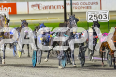 2025_PACEPIX_GP24102025_Race8_OverlyExcited_WIN_WEB-6