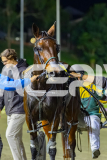 2026_PACEPIX_GP08052026_Race8_Paroquet_WIN_WEB-15