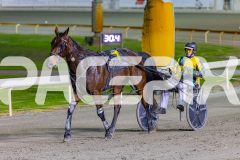 2026_PACEPIX_GP08052026_Race8_Paroquet_WIN_WEB-8