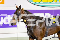 2026_PACEPIX_GP08052026_Race8_Paroquet_WIN_WEB-9