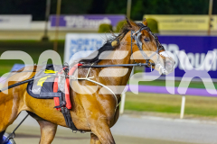 2025_PACEPIX_GP16122025_RACE8_Patched_WIN_WEB-14