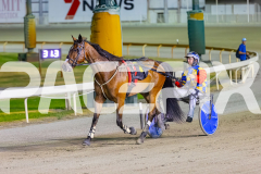 2025_PACEPIX_GP16122025_RACE8_Patched_WIN_WEB-17