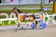2025_PACEPIX_GP16122025_RACE8_Patched_WIN_WEB-18