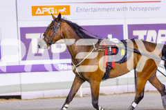 2025_PACEPIX_GP16122025_RACE8_Patched_WIN_WEB-19