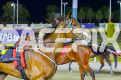 2025_PACEPIX_GP16122025_RACE8_Patched_WIN_WEB-20