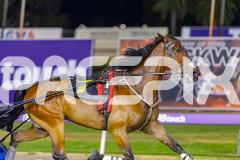 2025_PACEPIX_GP16122025_RACE8_Patched_WIN_WEB-6