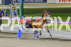 2025_PACEPIX_GP16122025_RACE8_Patched_WIN_WEB-9