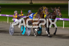 Perfect-Miki_16-06-2026_WIN_Gloucester-Park_8__02