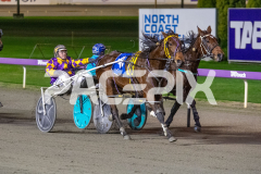 Perfect-Miki_16-06-2026_WIN_Gloucester-Park_8__03