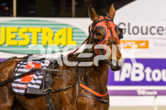 Philthejug_07-07-2026_WIN_Gloucester-Park_8__12