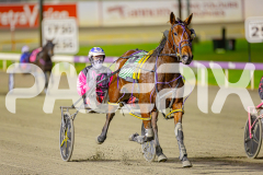 2025_PACEPIX_GP23052025_RACE8_Poppyonthebeach_WIN_WEB-16