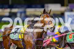 2025_PACEPIX_GP23052025_RACE8_Poppyonthebeach_WIN_WEB-17