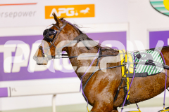 2025_PACEPIX_GP23052025_RACE8_Poppyonthebeach_WIN_WEB-22