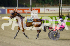 2025_PACEPIX_GP23052025_RACE8_Poppyonthebeach_WIN_WEB-23
