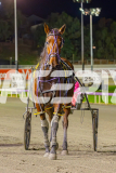 2025_PACEPIX_GP23052025_RACE8_Poppyonthebeach_WIN_WEB-27