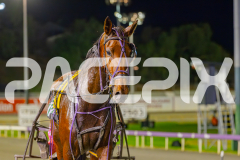 2025_PACEPIX_GP23052025_RACE8_Poppyonthebeach_WIN_WEB-28