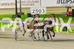 2025_PACEPIX_GP23052025_RACE8_Poppyonthebeach_WIN_WEB-6