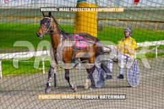 2026_PACEPIX_GP22092026_RACE8_PrincessDiamond_WIN_WEB-11
