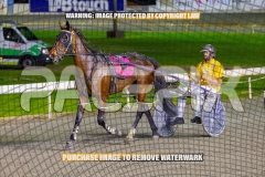 2026_PACEPIX_GP22092026_RACE8_PrincessDiamond_WIN_WEB-12