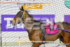 2026_PACEPIX_GP22092026_RACE8_PrincessDiamond_WIN_WEB-13