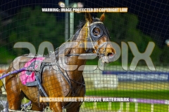 2026_PACEPIX_GP22092026_RACE8_PrincessDiamond_WIN_WEB-15